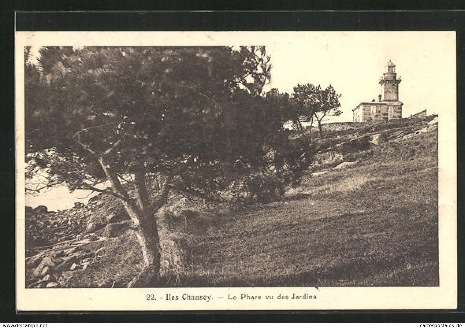 AK Iles Chausey, Le Phare Vu Des Jardins, Leuchtturm  - Faros