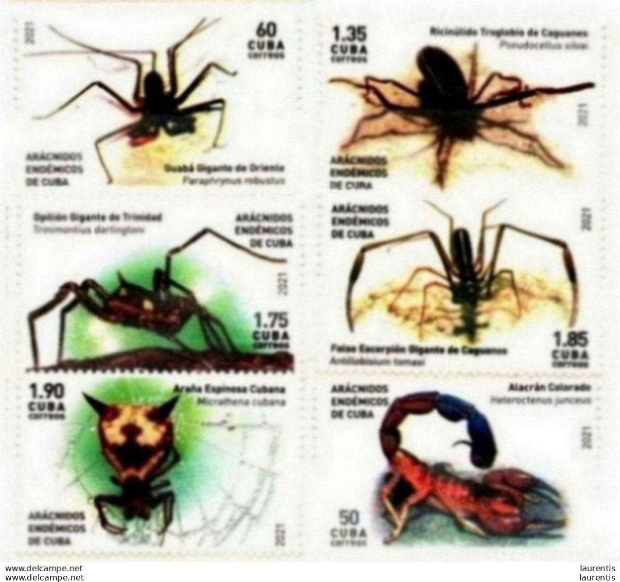 33554  Spiders - Scorpions - 2021 - MNH - Cb - 2,75 . - Nuovi