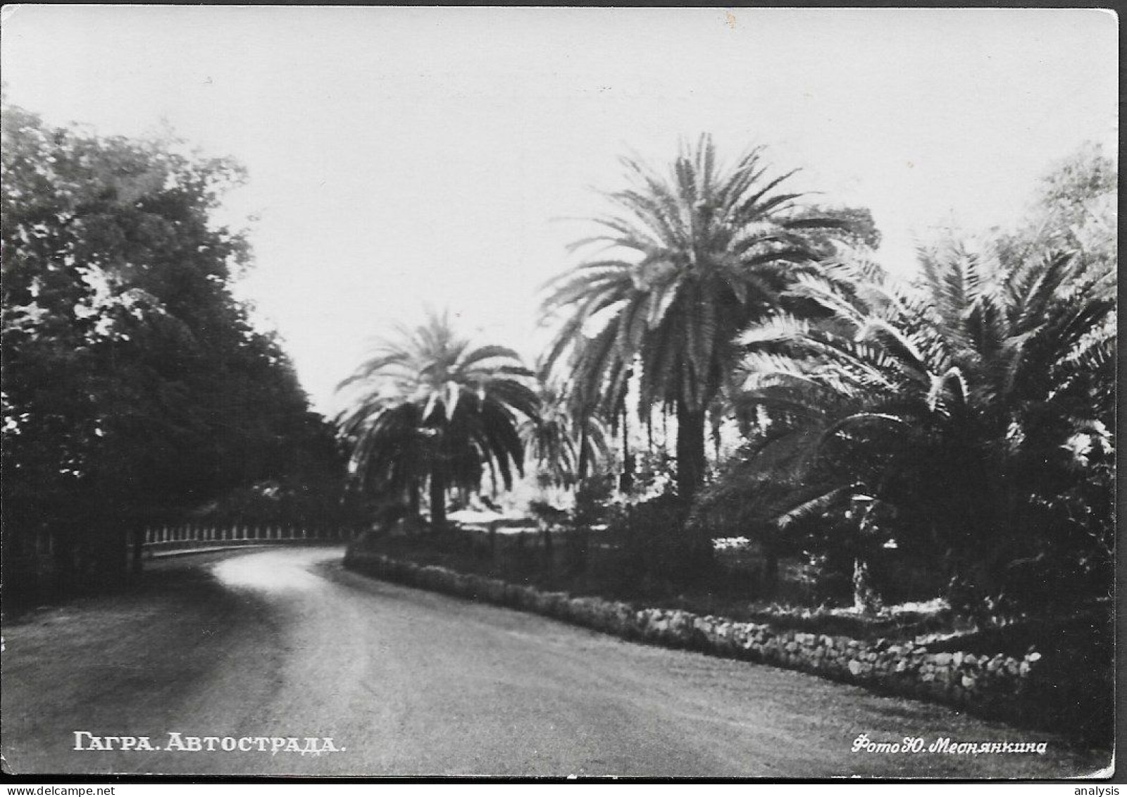 Russia Georgia Abkhazia Gagra View Old Real Photo PC 1950s. Caucasia - Georgia