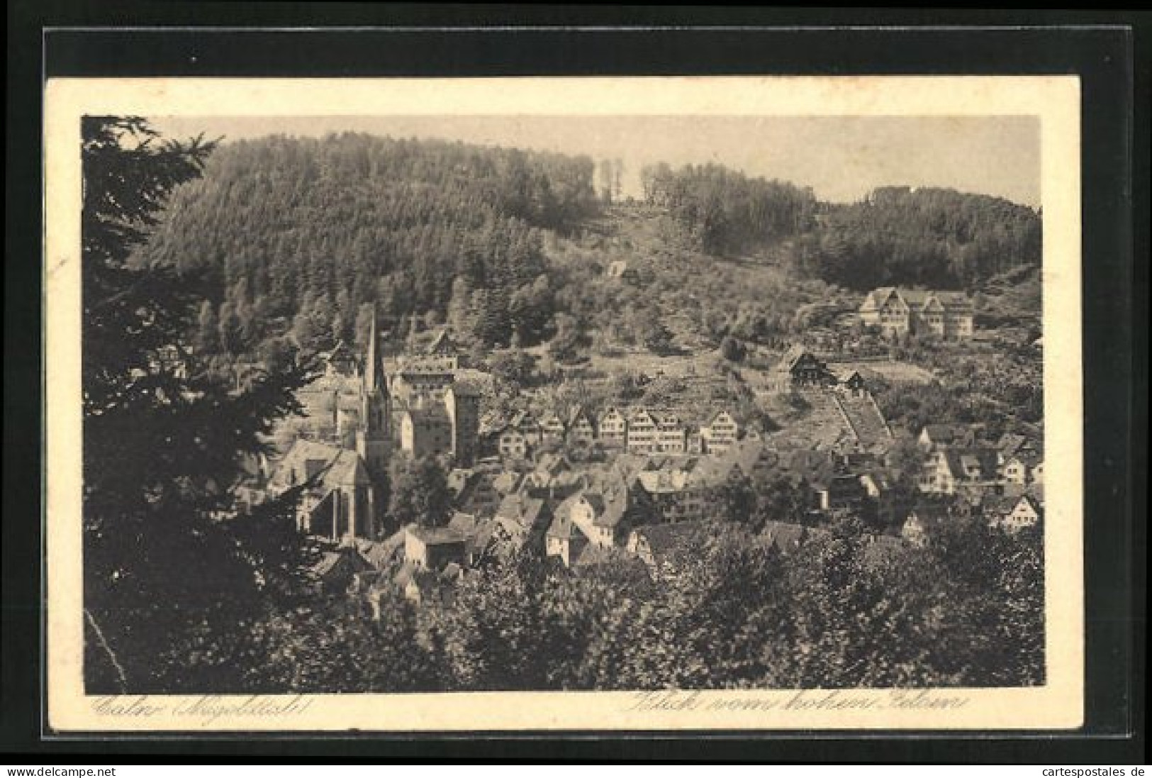 AK Calw, Blick Vom Hohen Felsen  - Calw