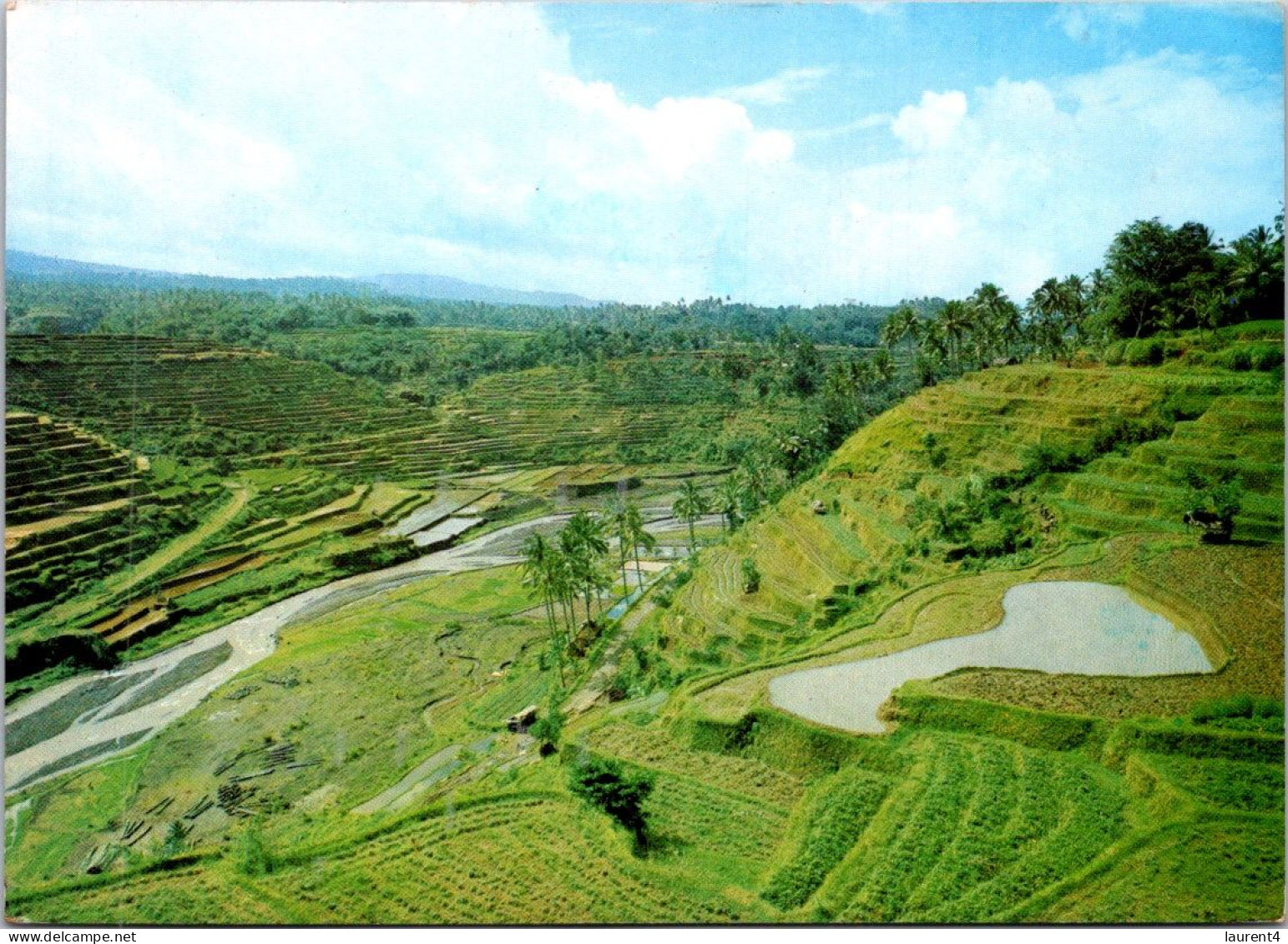 15-4-2024 (2 Z 6) Indonesia (posted To Australia) Bali Terrace Ricefield - Culturas