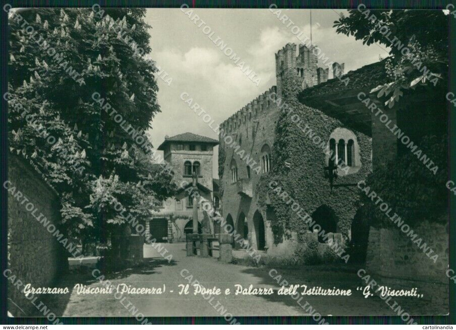 Piacenza Vigolzone Graziano Visconti PIEGHINA Foto FG Cartolina KV7032 - Piacenza