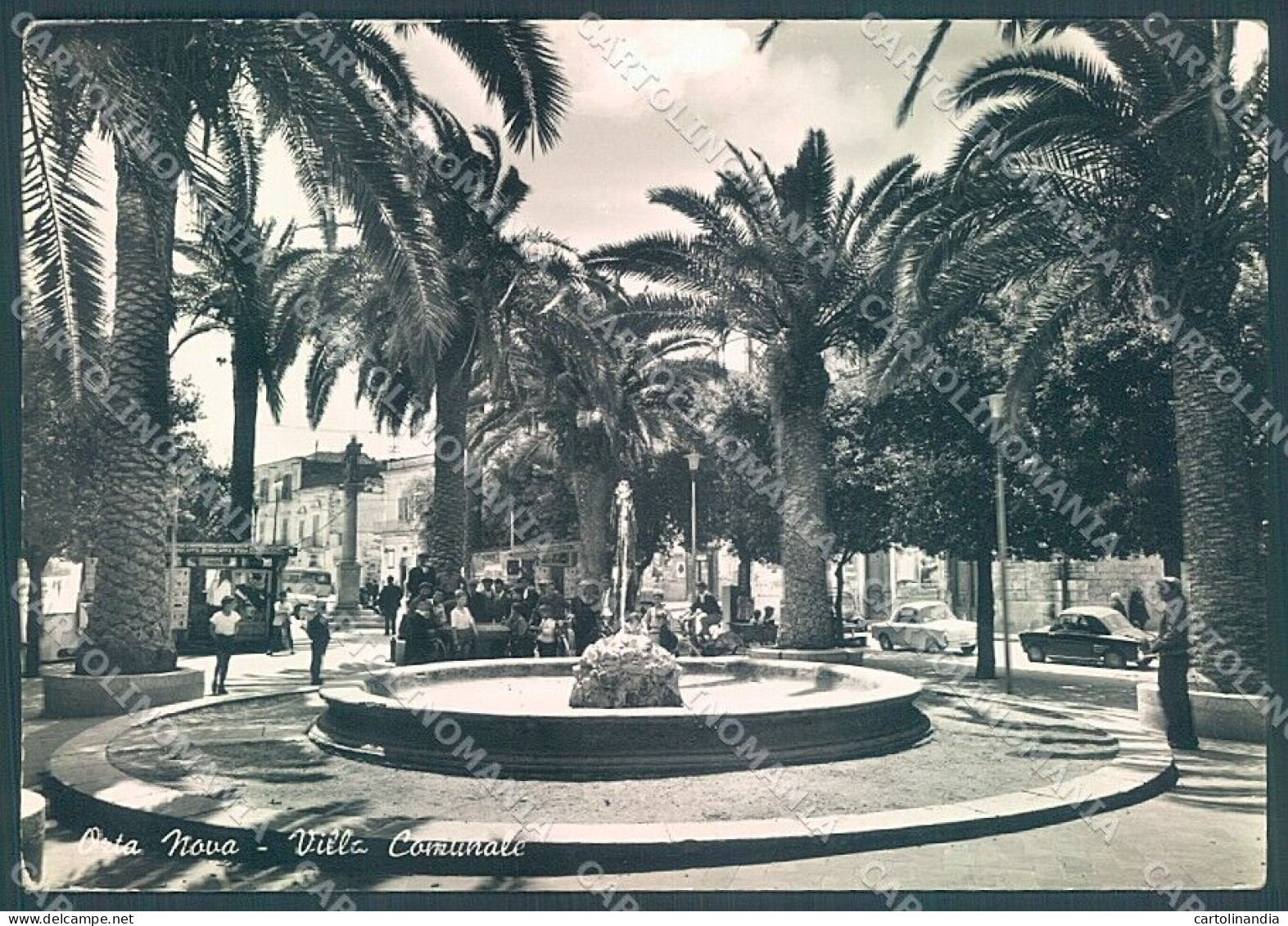 Foggia Orta Nova Villa Comunale Foto FG Cartolina JK5957 - Foggia