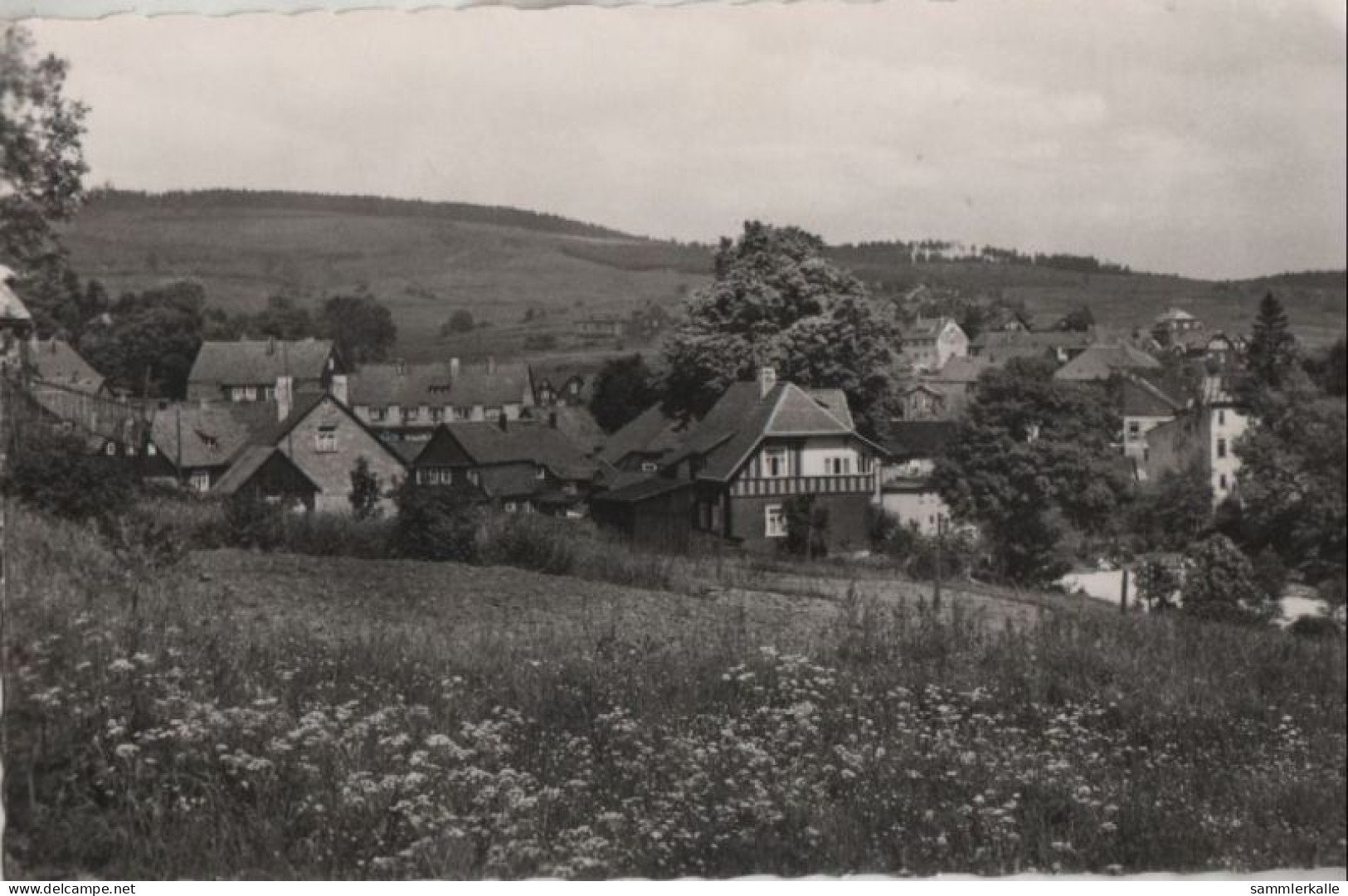 60751 - Schmiedefeld - Mit Eisenberg - 1961 - Schmiedefeld