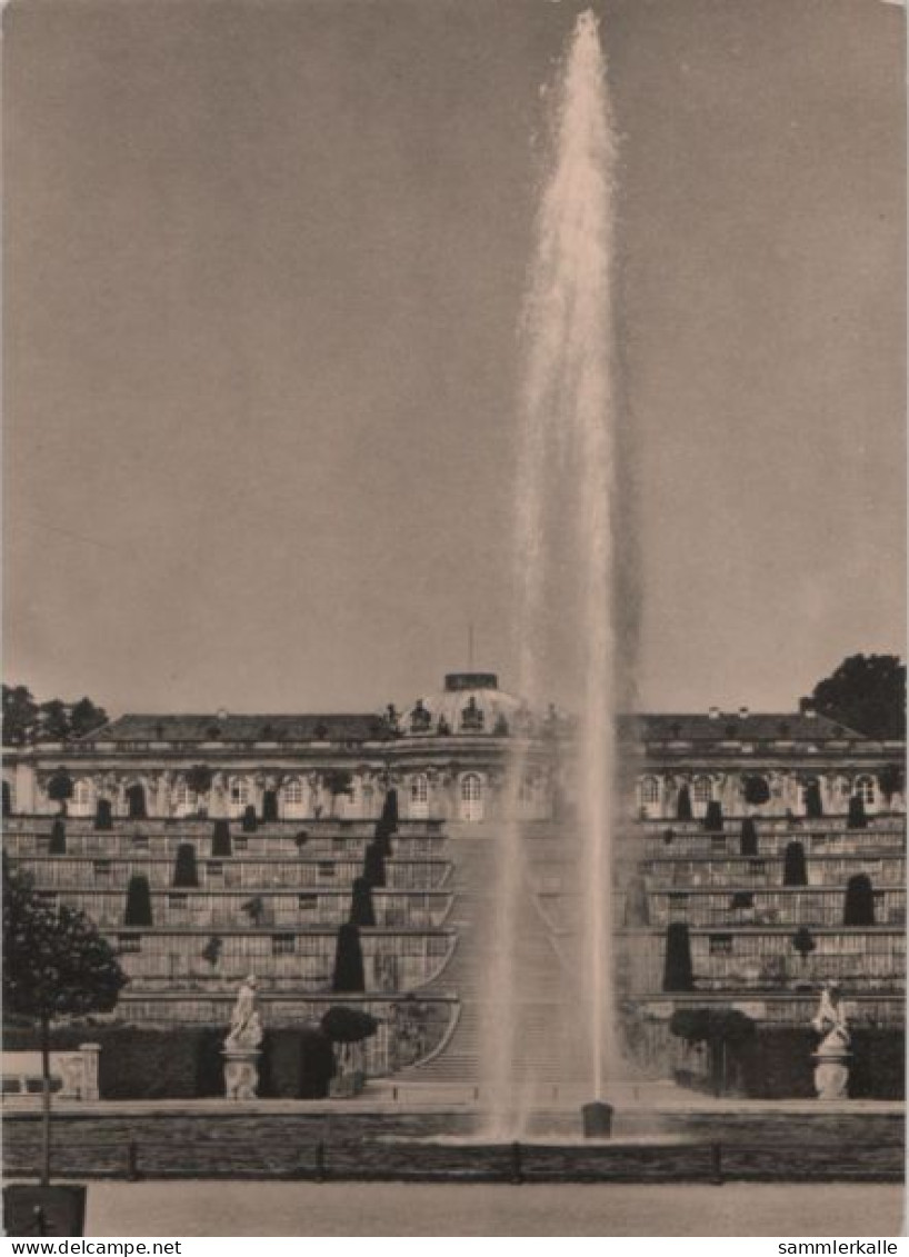 77974 - Potsdam, Sanssouci - Gartenfront Des Schlosses - 1967 - Potsdam