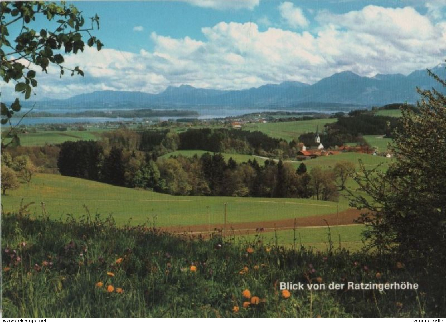 90897 - Chiemsee - Weingarten, Blick Von Der Ratzingerhöhe - 1988 - Rosenheim