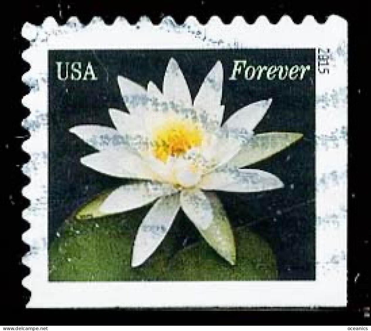 Etats-Unis / United States (Scott No.4967 - Lis D'eau / Water Lily) (o)  P2 - Gebraucht