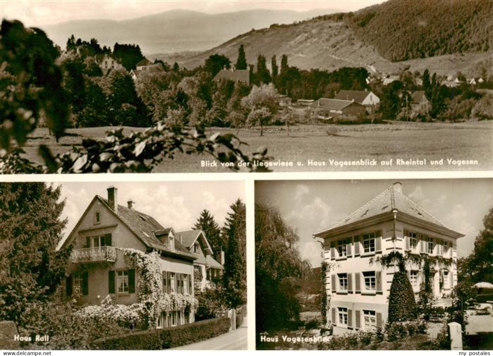 73970892 BADENWEILER_BW Panorama Blick Auf Rheintal Und Vogesen Gaesteheim Rall  - Badenweiler