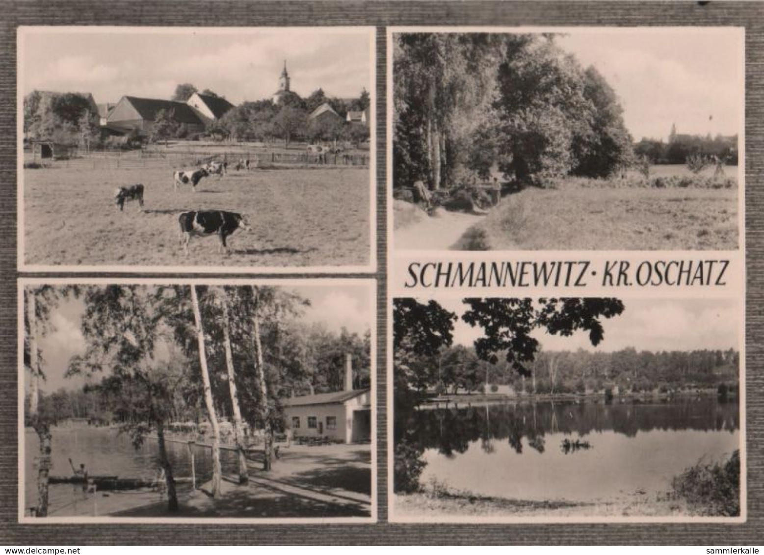 78694 - Dahlen-Schmannewitz - 4 Teilbilder - 1967 - Dahlen