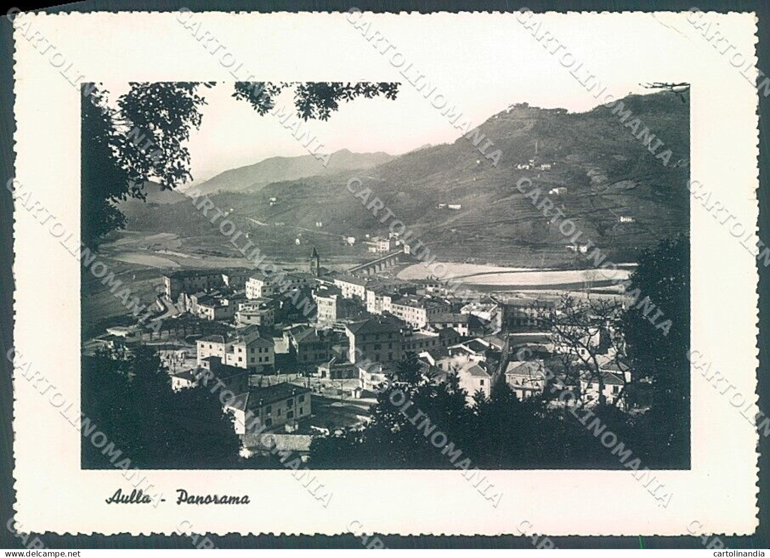 Massa Aulla PIEGHINA Foto FG Cartolina JK5490 - Massa