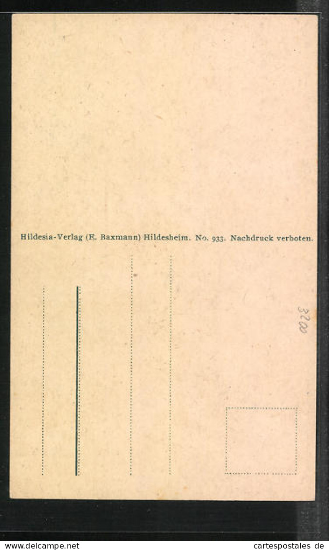 AK Hildesheim, Zuckerhut, Eckem-Strasse, 1000 Jähriger Rosenstock  - Hildesheim