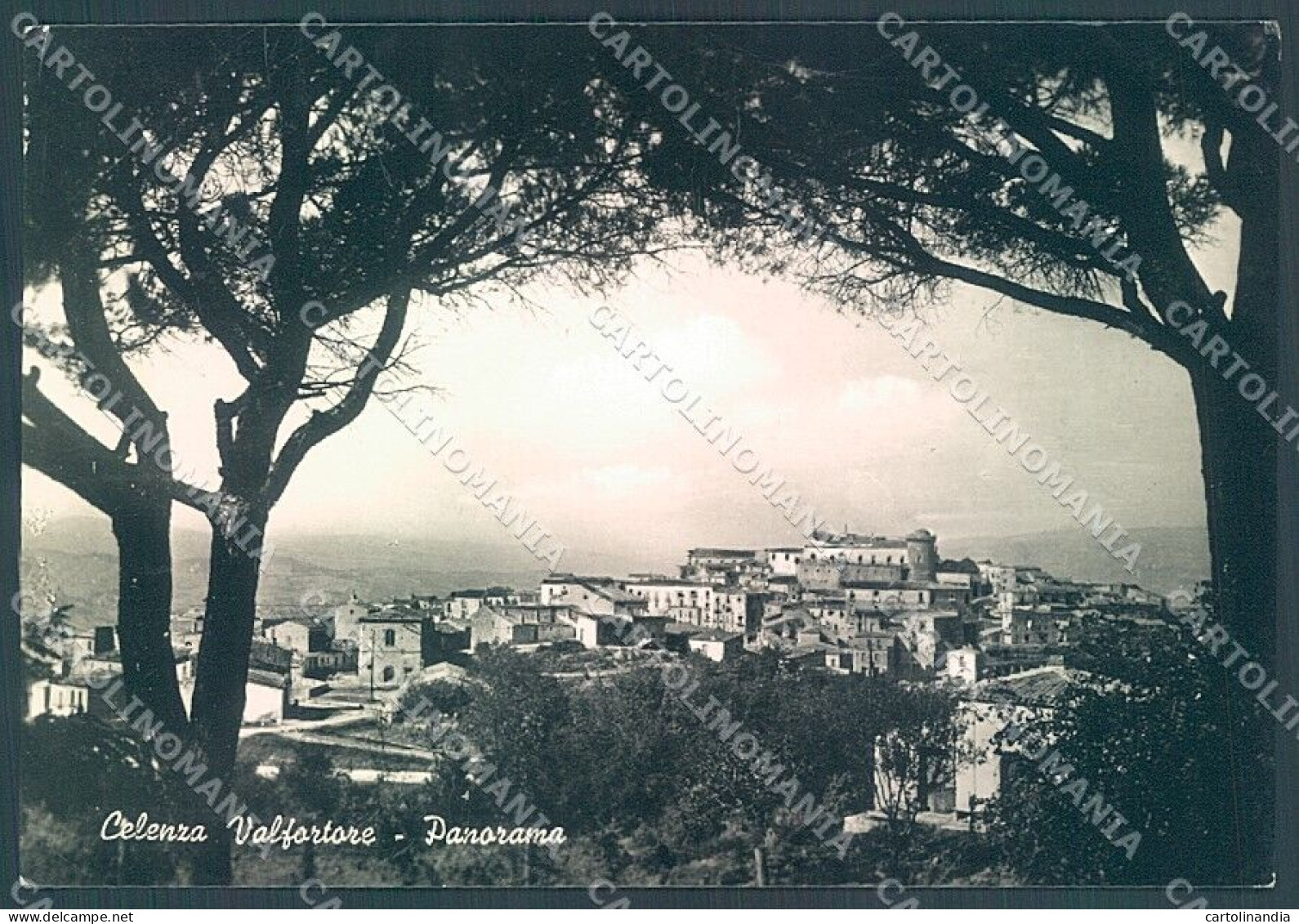 Foggia Celenza Valfortore Alterocca 19611 Foto FG Cartolina JK5985 - Foggia