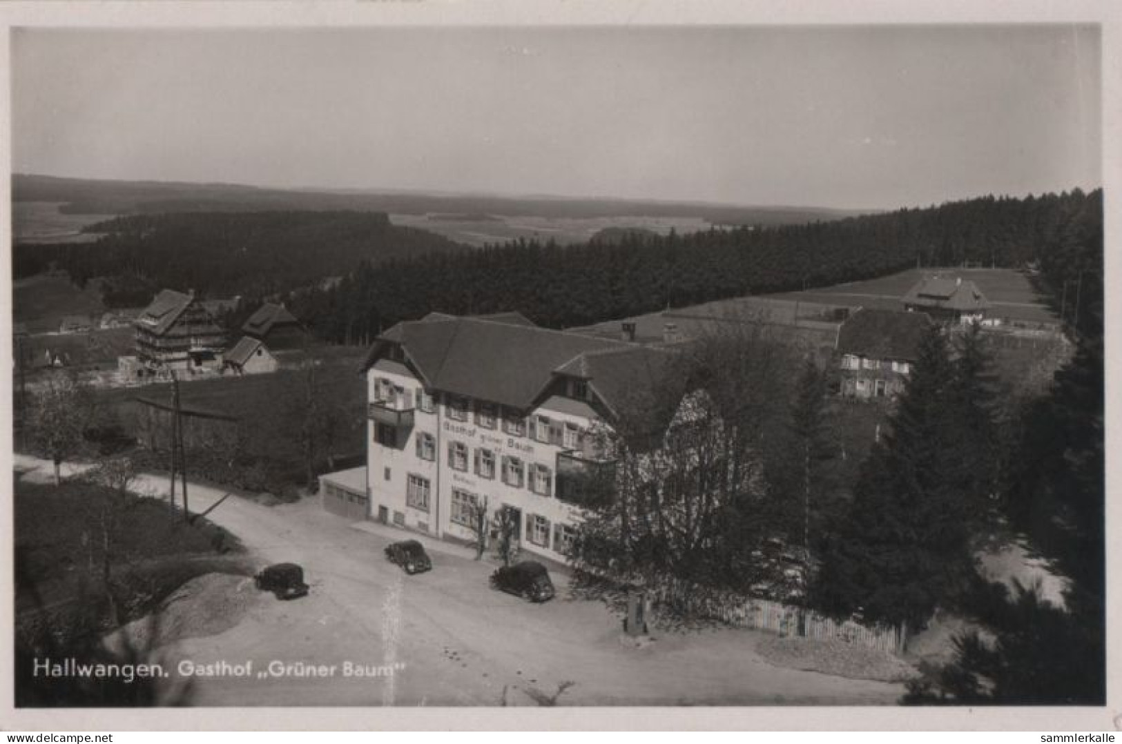 68270 - Dornstetten-Hallwangen - Gasthof Grüner Baum - Ca. 1955 - Freudenstadt