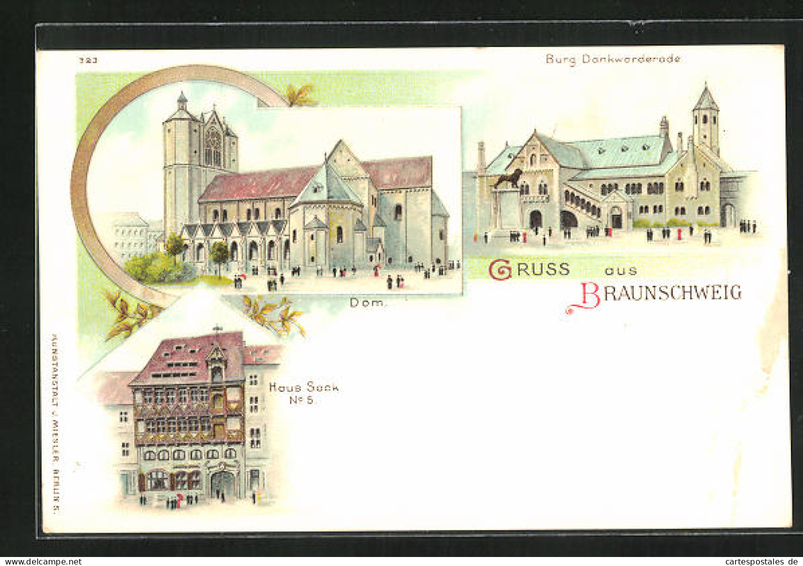 Lithographie Braunschweig, Burg Dankwarderode, Dom, Haus Sack No. 5  - Braunschweig