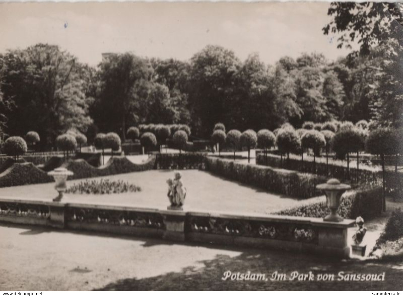 125306 - Sanssouci, Potsdam - Im Park - Potsdam