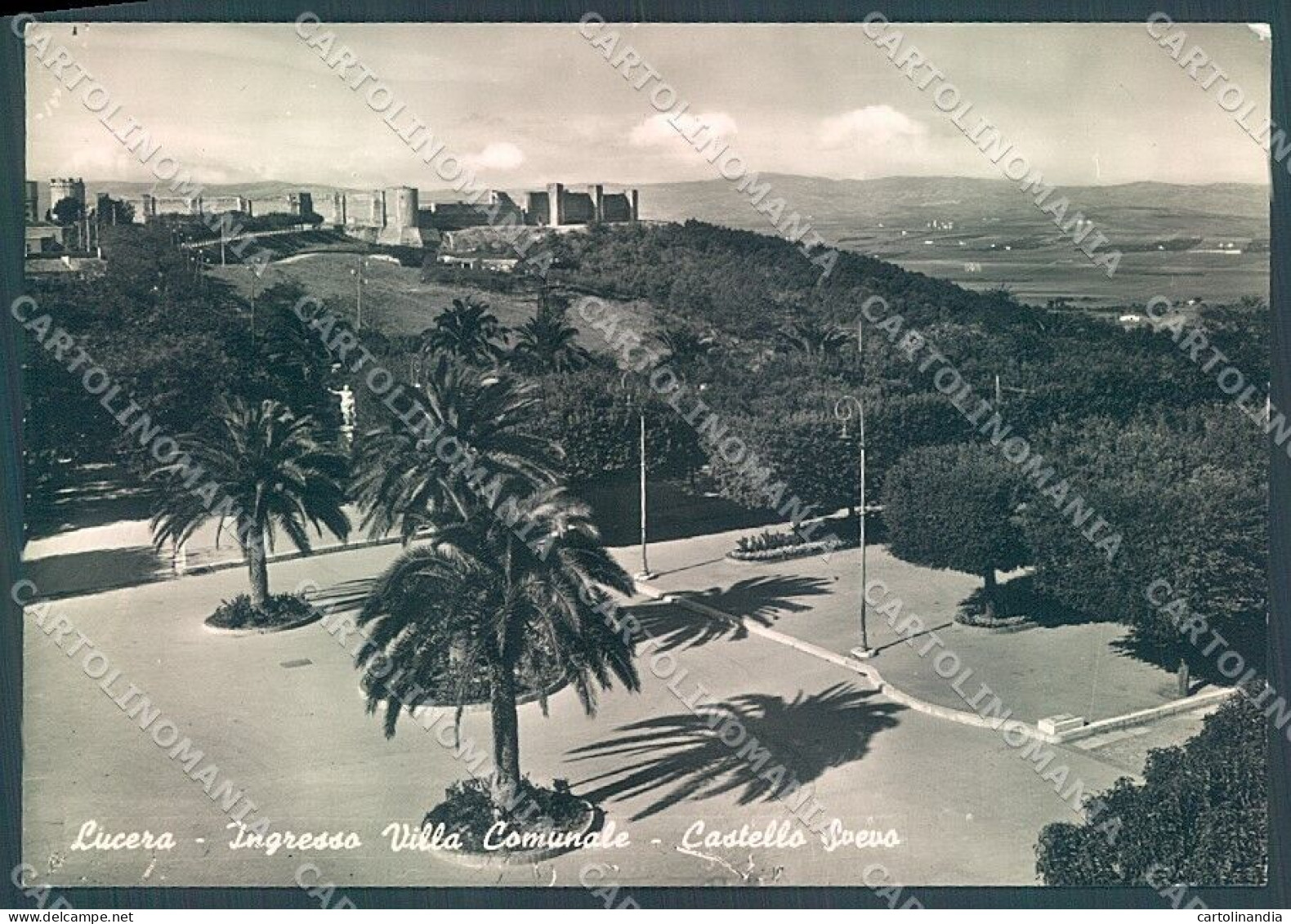 Foggia Lucera Castello Svevo Villa Comunale Foto FG Cartolina JK5969 - Foggia