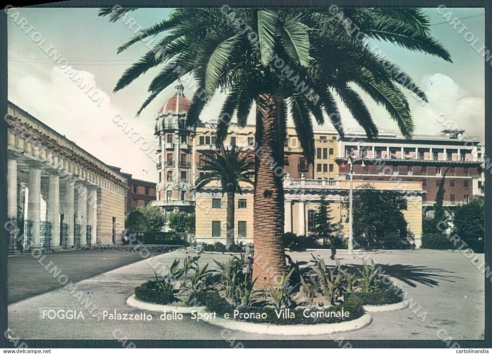 Foggia Città Palazzetto Dello Sport Foto FG Cartolina JK5962 - Foggia