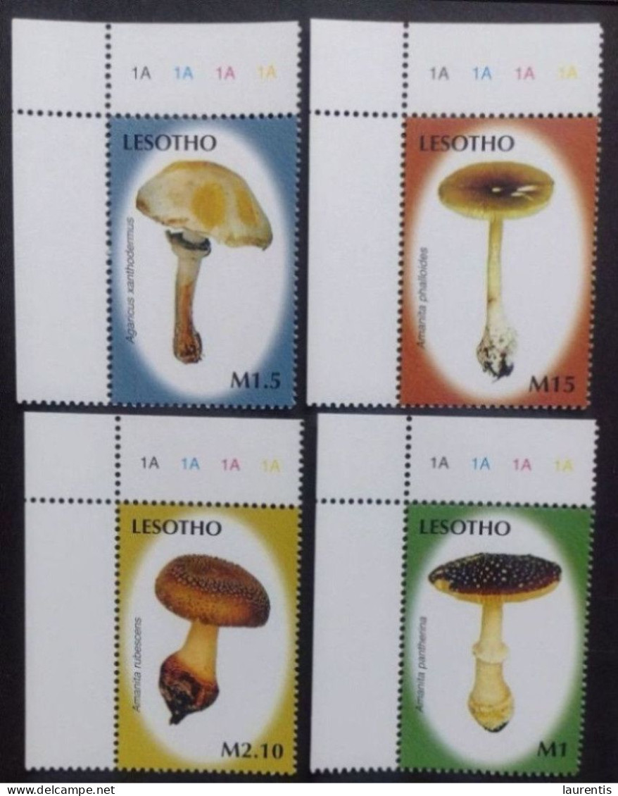 D633. Mushrooms - Lesotho Yv 1876-79 MNH - 1,85 - Hongos