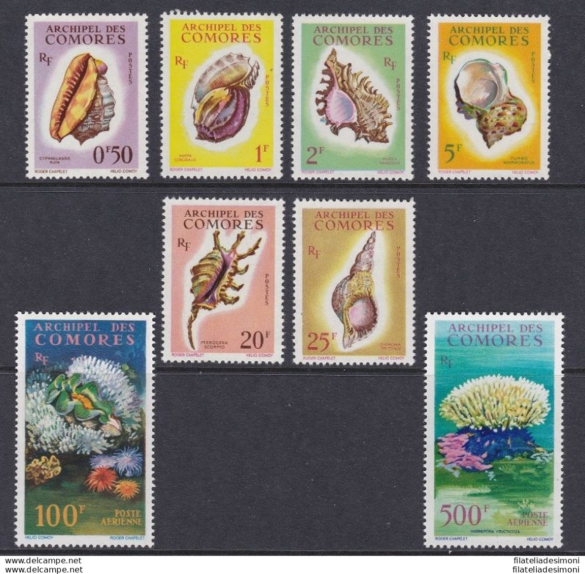 1962 Comores - Yvert  N° 19/24 + PA 5/6 - Fauna Marina E Conchiglie - 8 Valori - Other & Unclassified