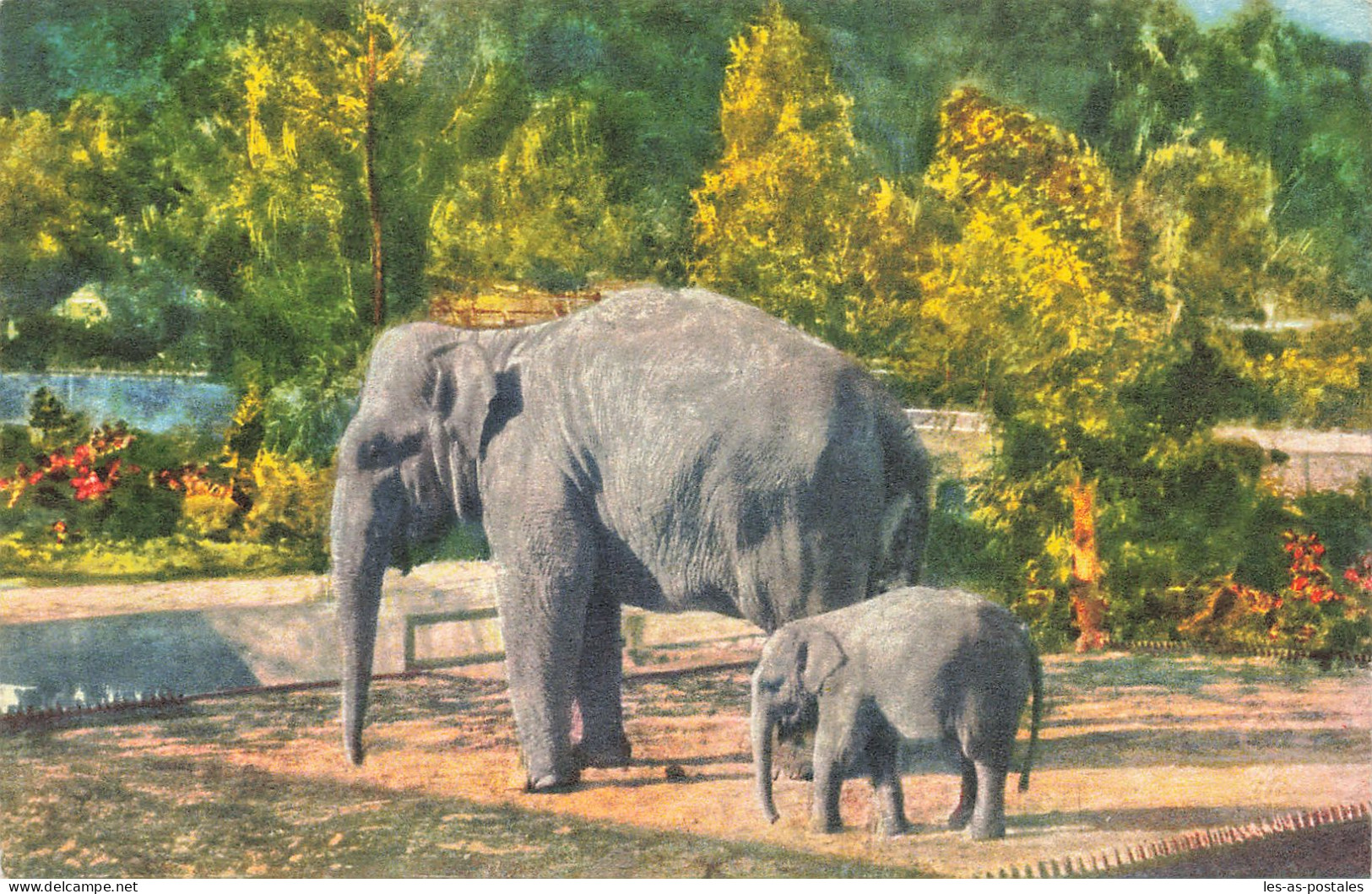 INDE ELEPHANTS - Inde