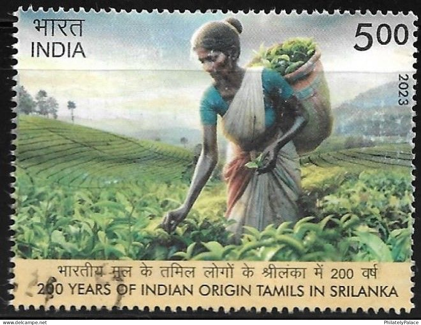 India 2023,Tea, Plucking, Drink, Food,Woman, 200th Years Of Indian Origin Tamils In SriLanka, Used (**) Inde Indien - Used Stamps