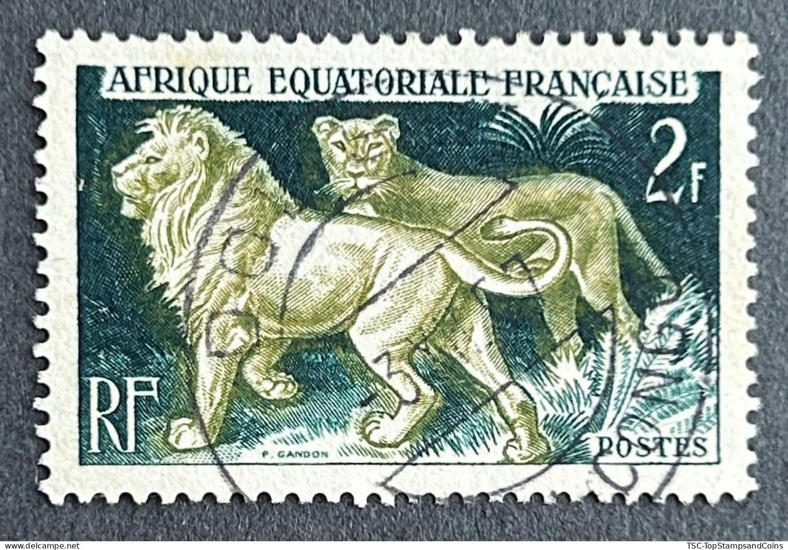 FRAEQ0239U - Lion - 2 F Used Stamp - AEF - 1957 - Usados