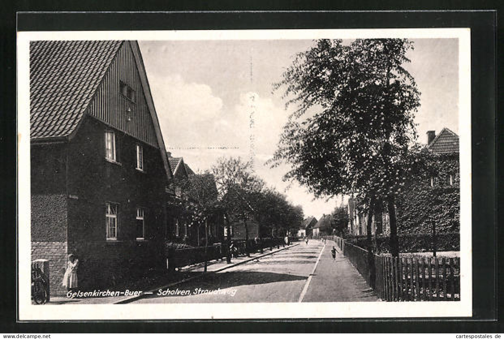 AK Gelsenkirchen, Scholven, Strauchweg  - Gelsenkirchen