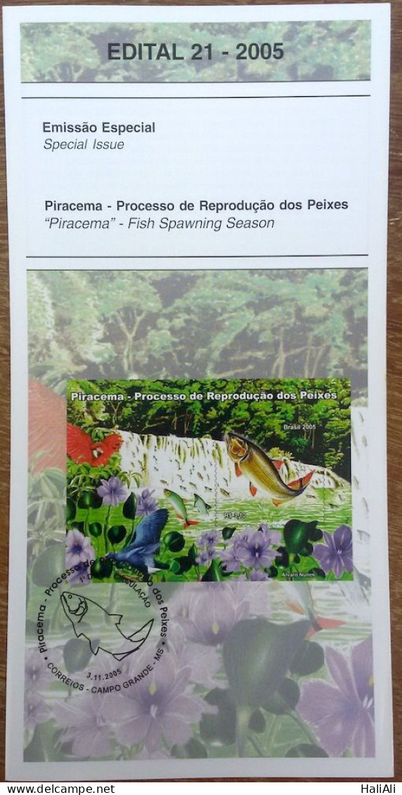 Brochure Brazil Edital 2005 21 Piracema Reproduction Of Fish Without Stamp - Briefe U. Dokumente