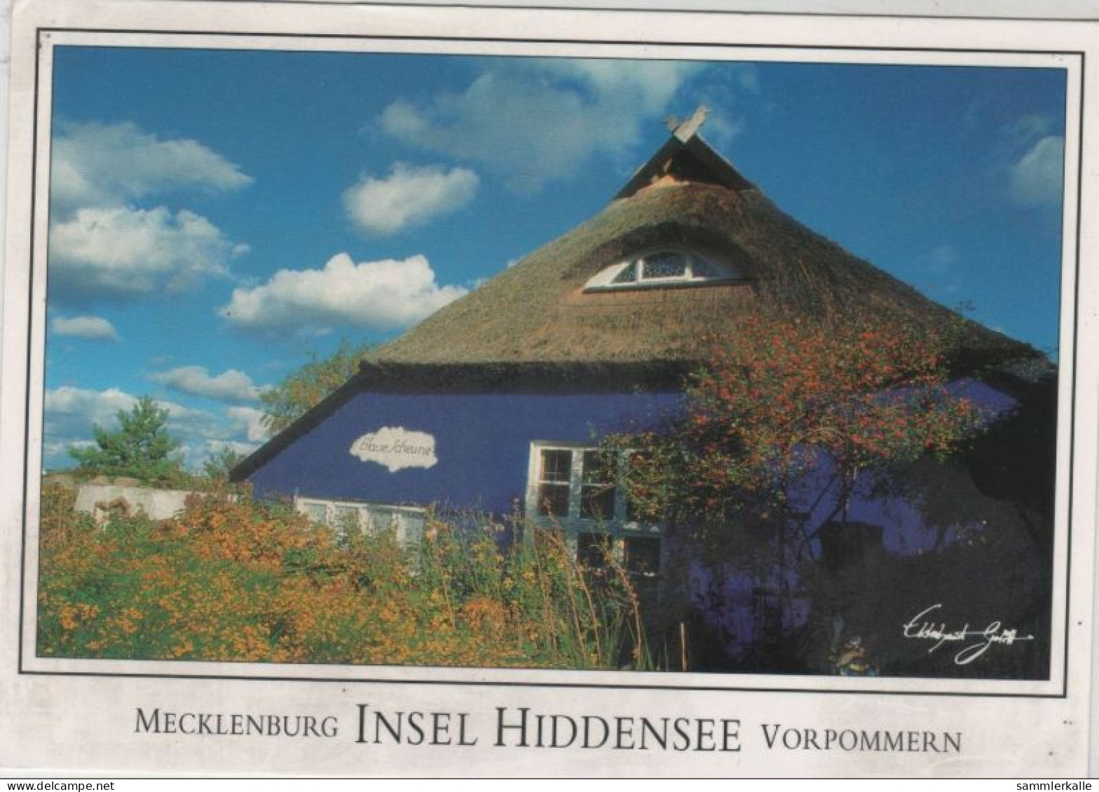 9000262 - Hiddensee - Haus In Vitte - Hiddensee