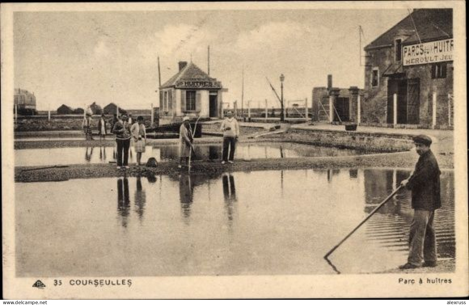 France Postcard Courseulles Sur Mer Calvados, Oyster Farm/Park, Unused - Courseulles-sur-Mer