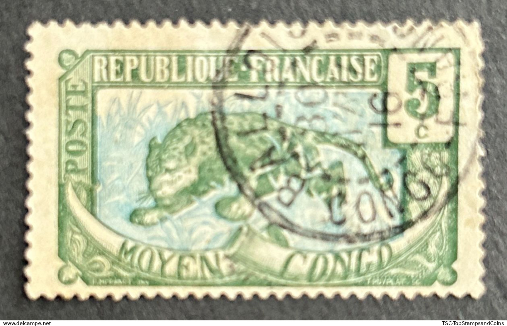 FRCG051UF - Leopard - 5 C Used Stamp - Middle Congo - 1907 - Used Stamps