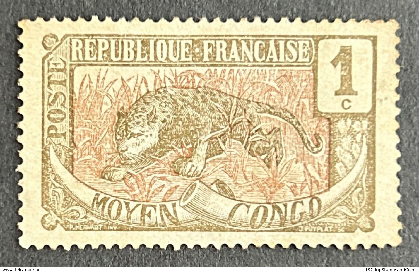 FRCG048MNH - Leopard - 1 C MNH Stamp W/o Gum - Middle Congo - 1907 - Neufs