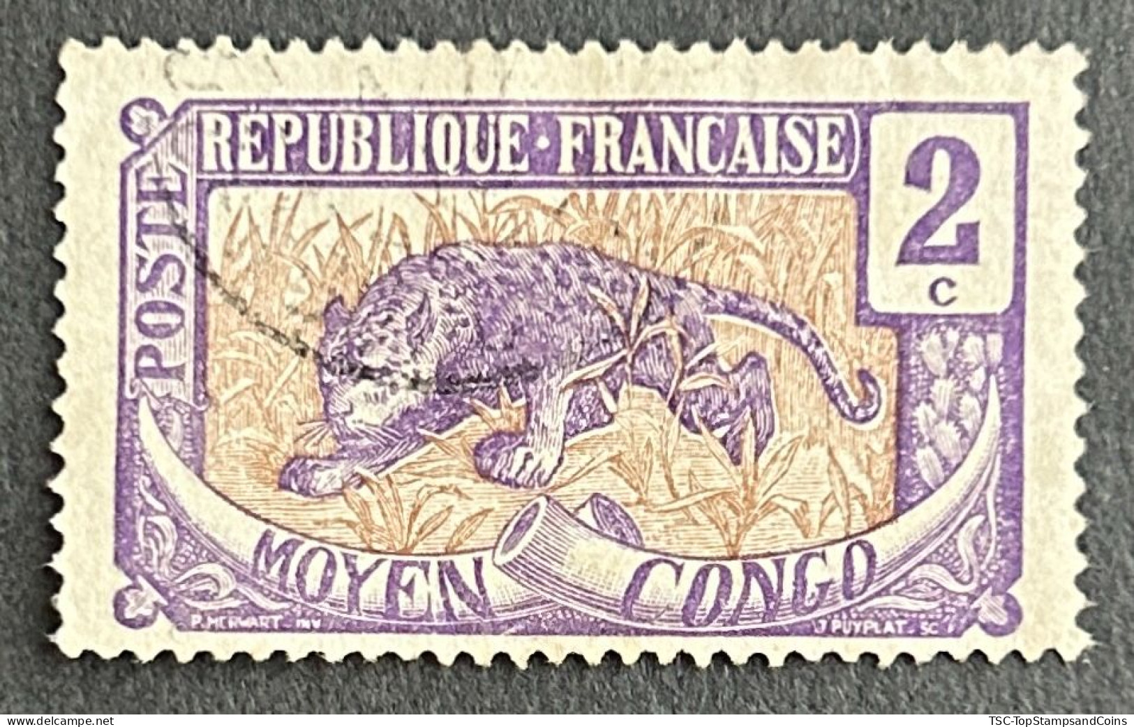 FRCG049U - Leopard - 2 C Used Stamp - Middle Congo - 1907 - Oblitérés