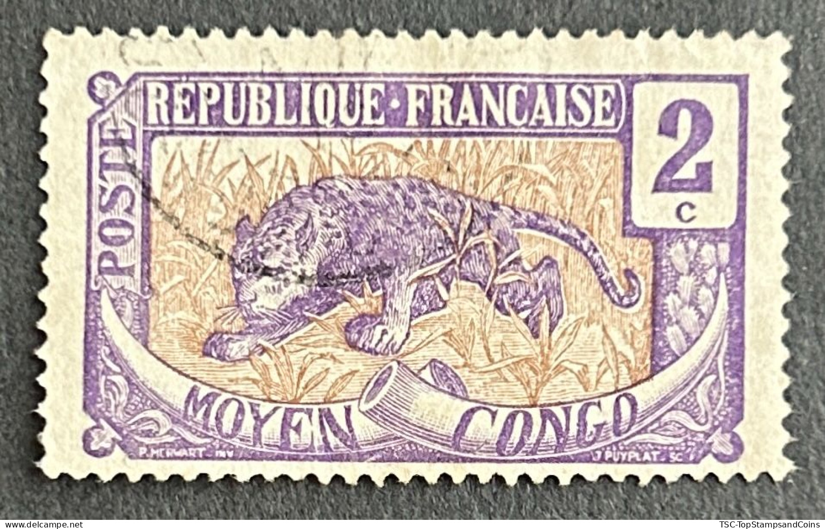 FRCG049U - Leopard - 2 C Used Stamp - Middle Congo - 1907 - Gebruikt