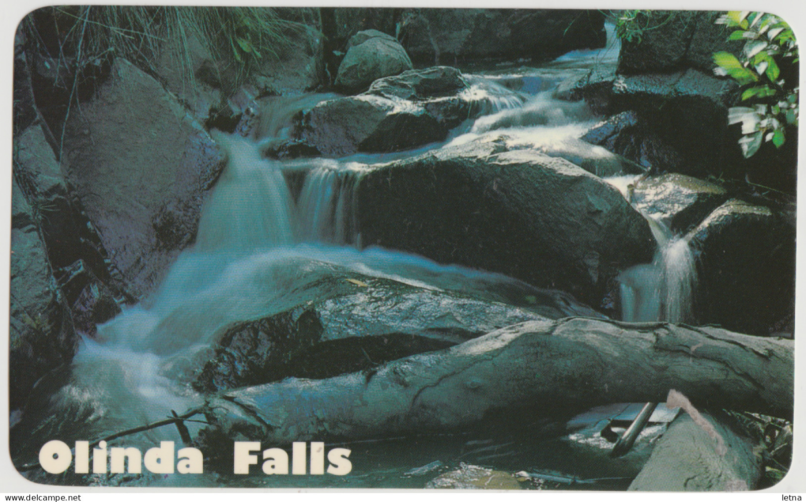 Australia VICTORIA VIC Waterfall State Forest OLINDA Dandenong Ranges Postcard C1970s - Melbourne