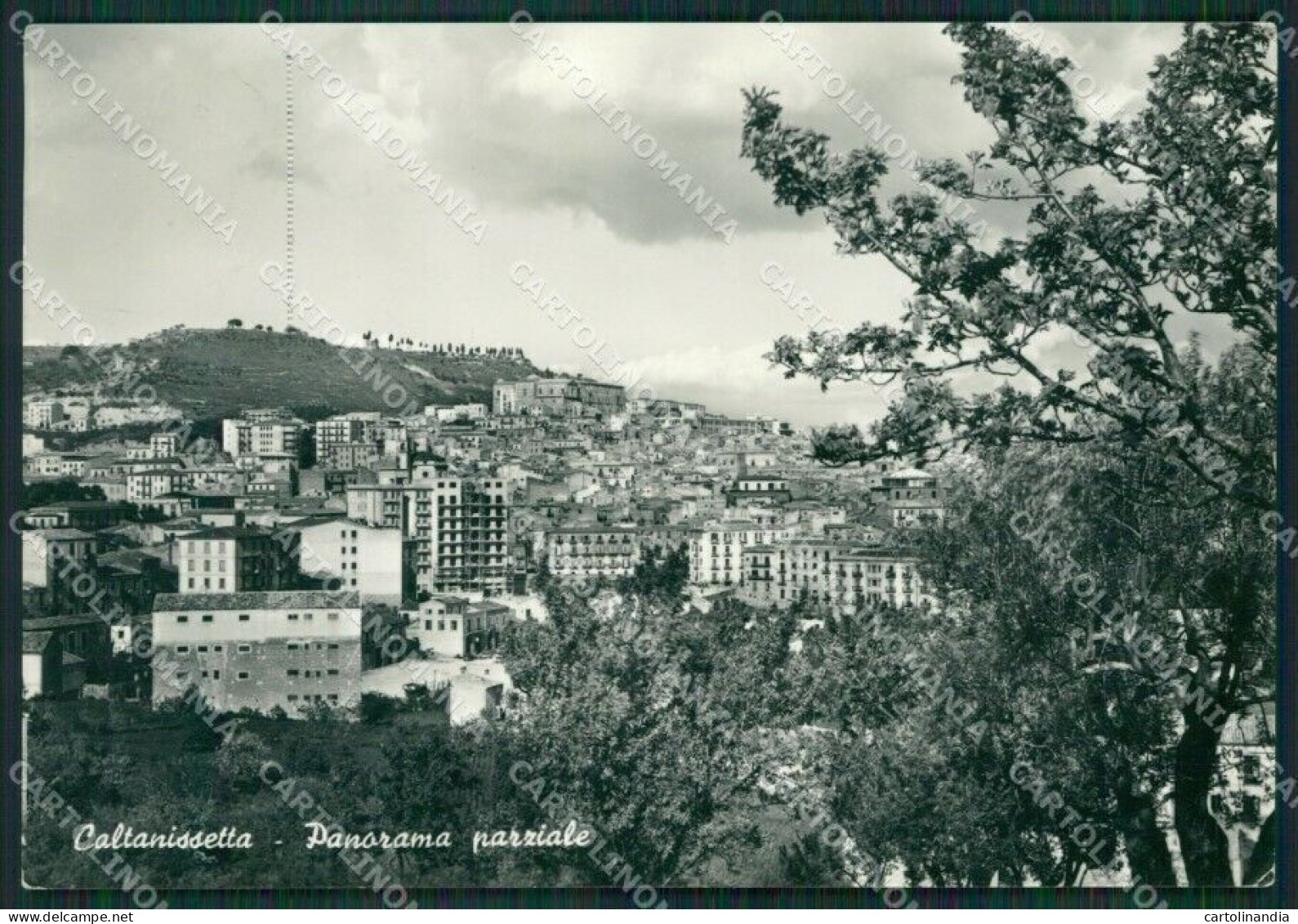 Caltanissetta Città Foto FG Cartolina KV7478 - Caltanissetta