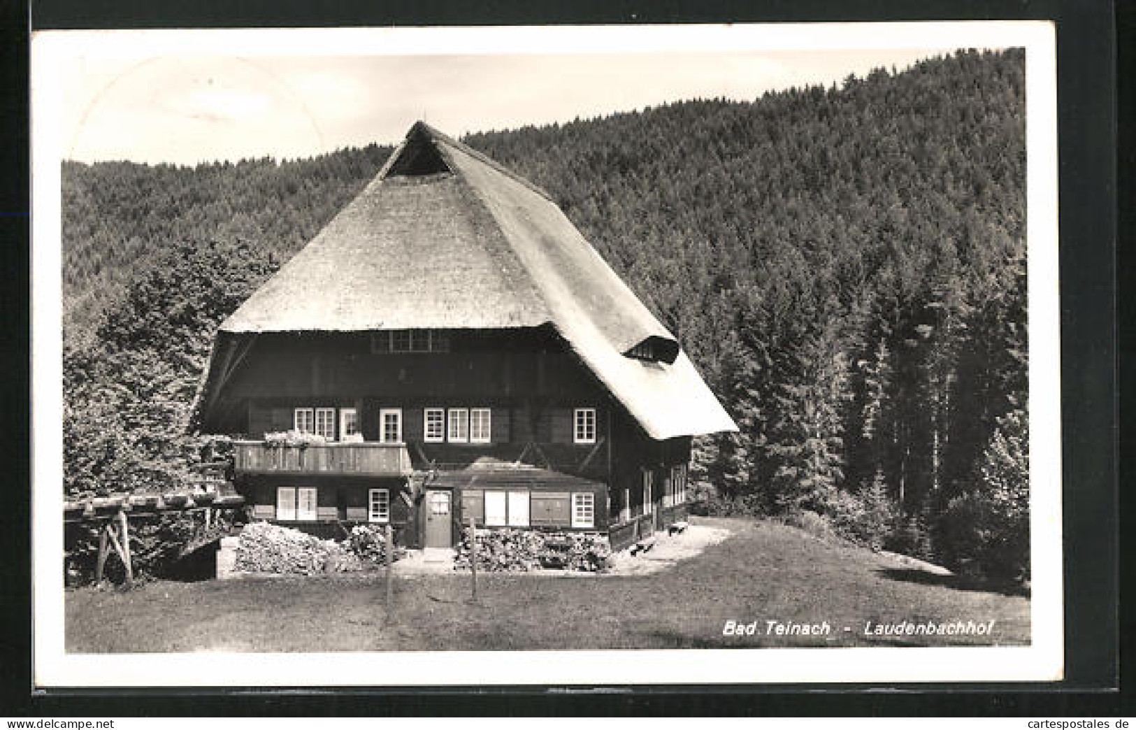 AK Bad Teinach, Gasthof Laudenbachhof Mit Wald  - Bad Teinach