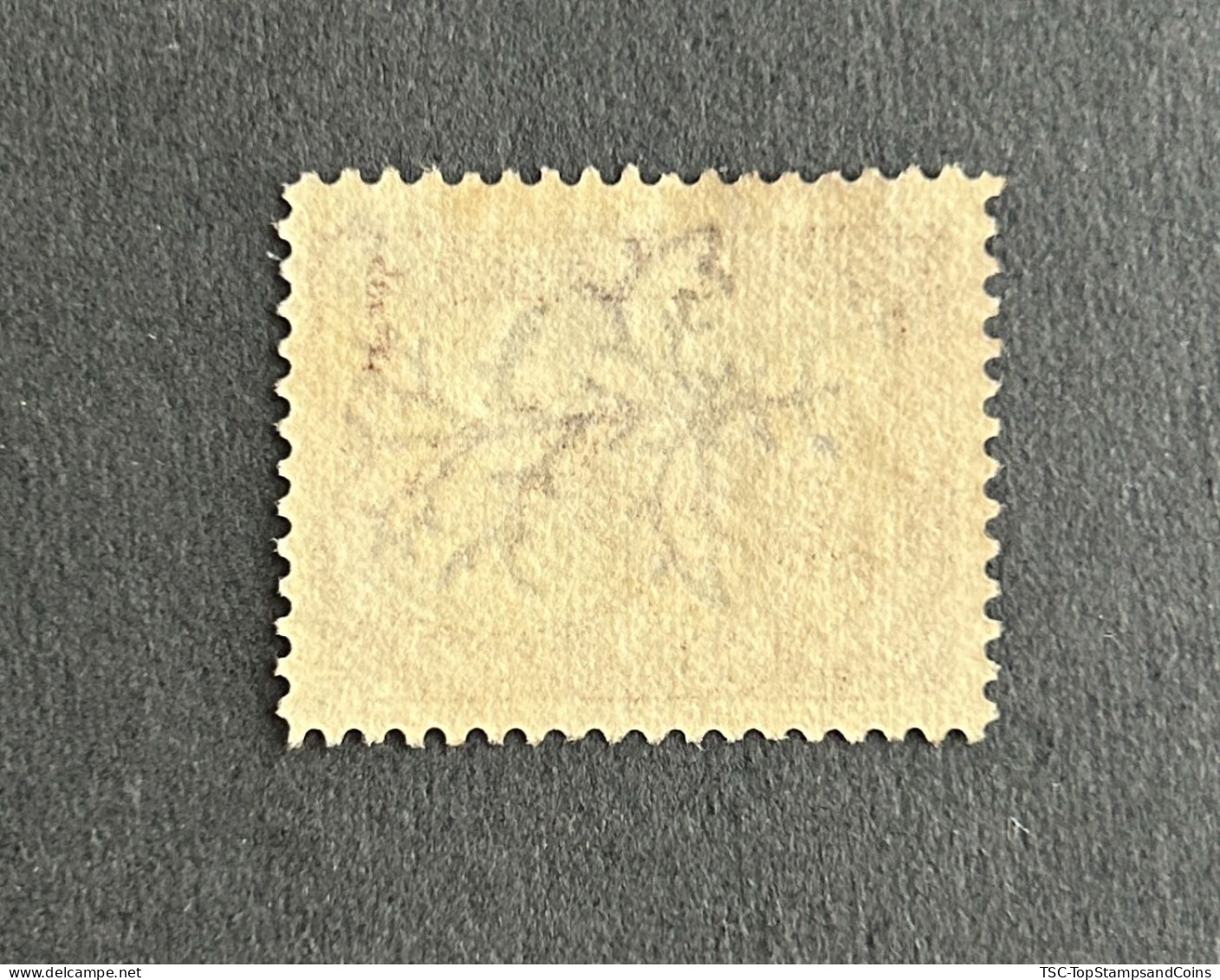 FRCG028U - Leopard - 1 C Used Stamp - French Congo - 1900 - Oblitérés