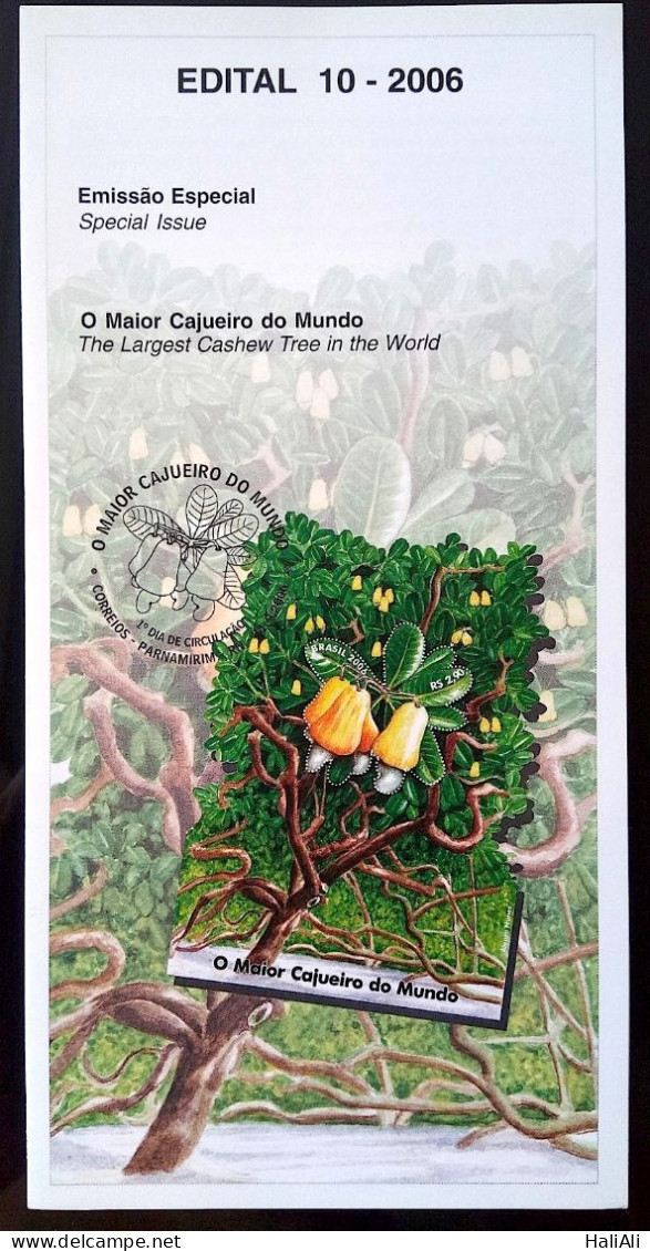 Brochure Brazil Edital 2006 10 Biggest Cashew Block In The World Without Stamp - Cartas & Documentos