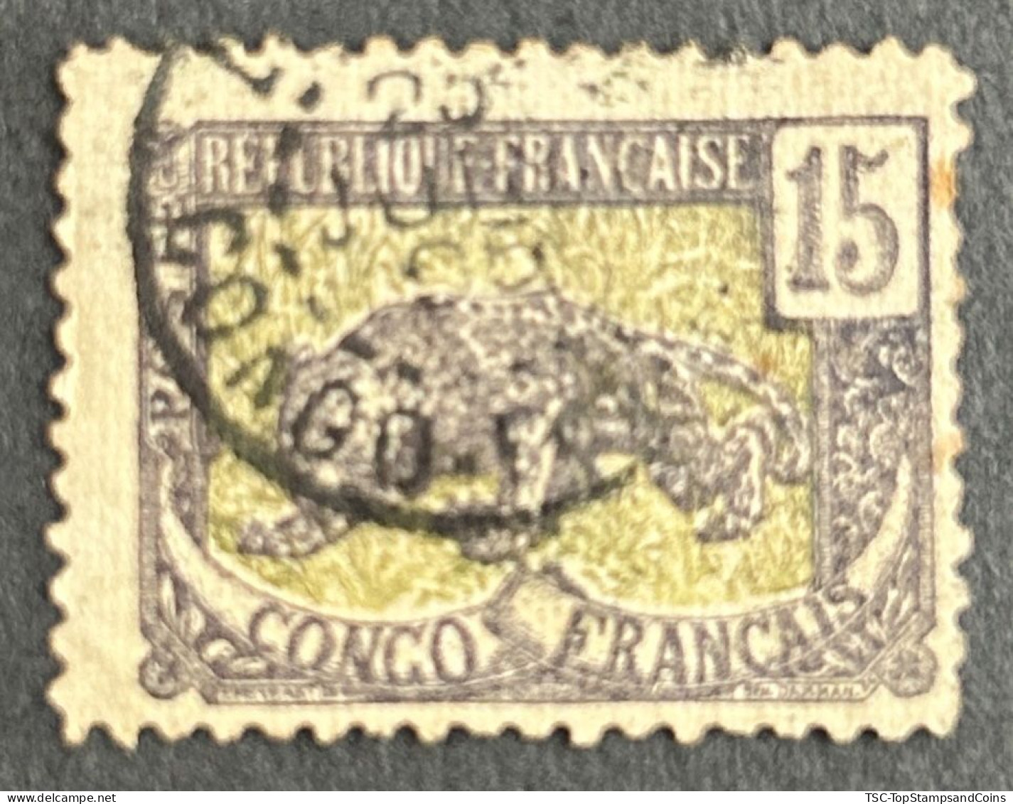 FRCG032U - Leopard - 15 C Used Stamp - French Congo - 1907 - Used Stamps