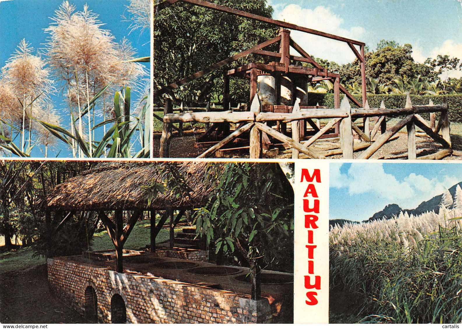 MAU-ILE MAURICE-N°3699-C/0173 - Mauritius