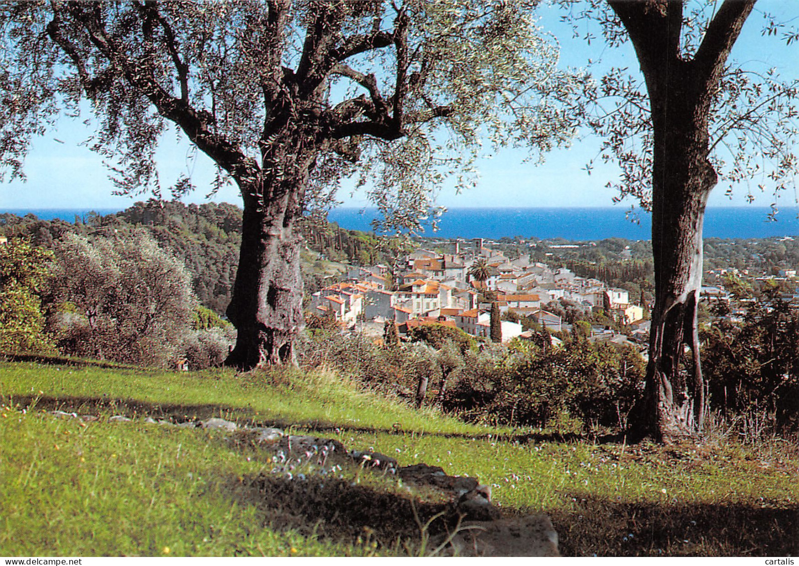 06-BIOT-N°3702-A/0343 - Biot