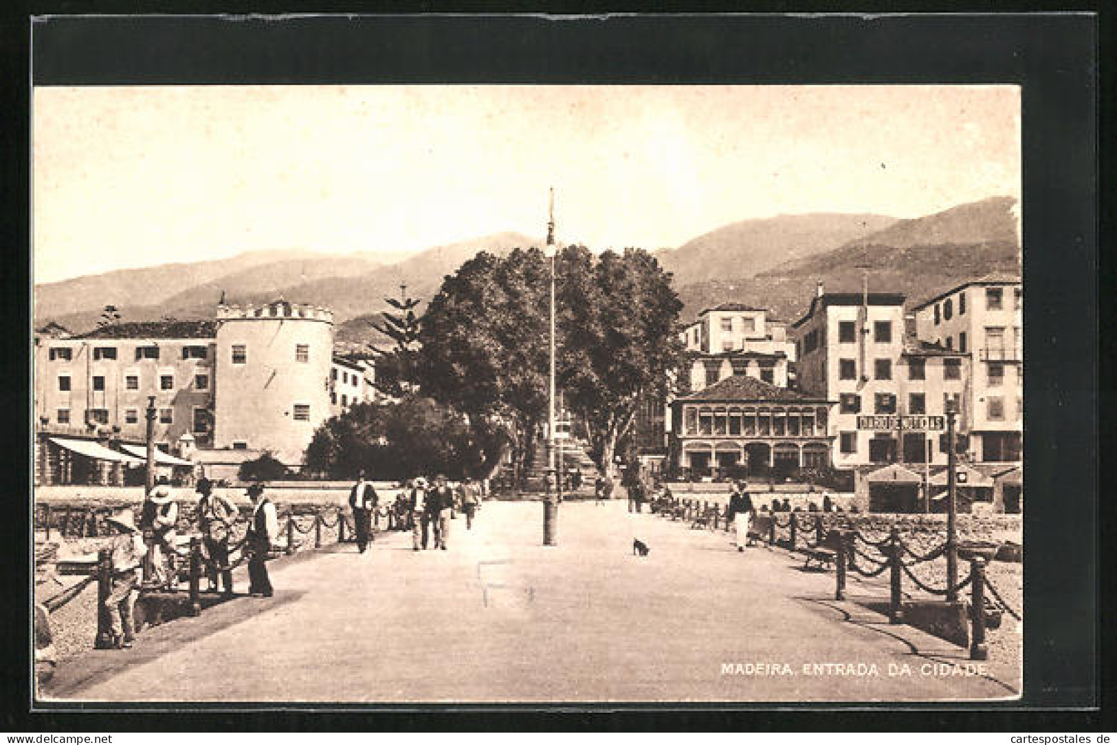 AK Madeira, Entrada Da Cidade  - Madeira