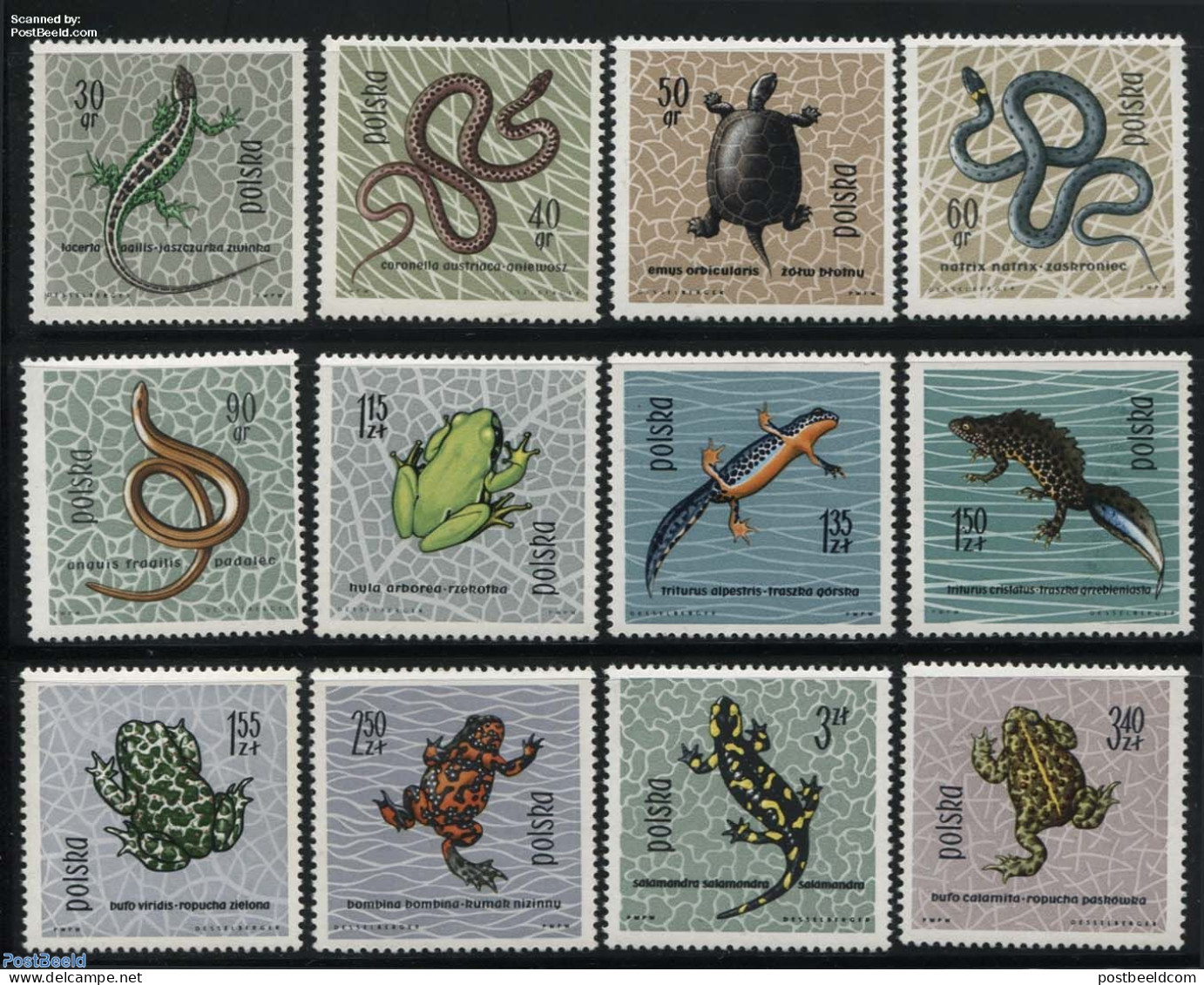 Poland 1963 Reptiles 12v, Mint NH, Nature - Frogs & Toads - Reptiles - Snakes - Turtles - Unused Stamps