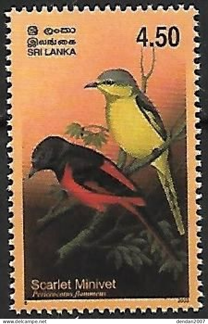 Sri Lanka - MNH ** 2003 : Orange Minivet  -  Pericrocotus Flammeus - Songbirds & Tree Dwellers