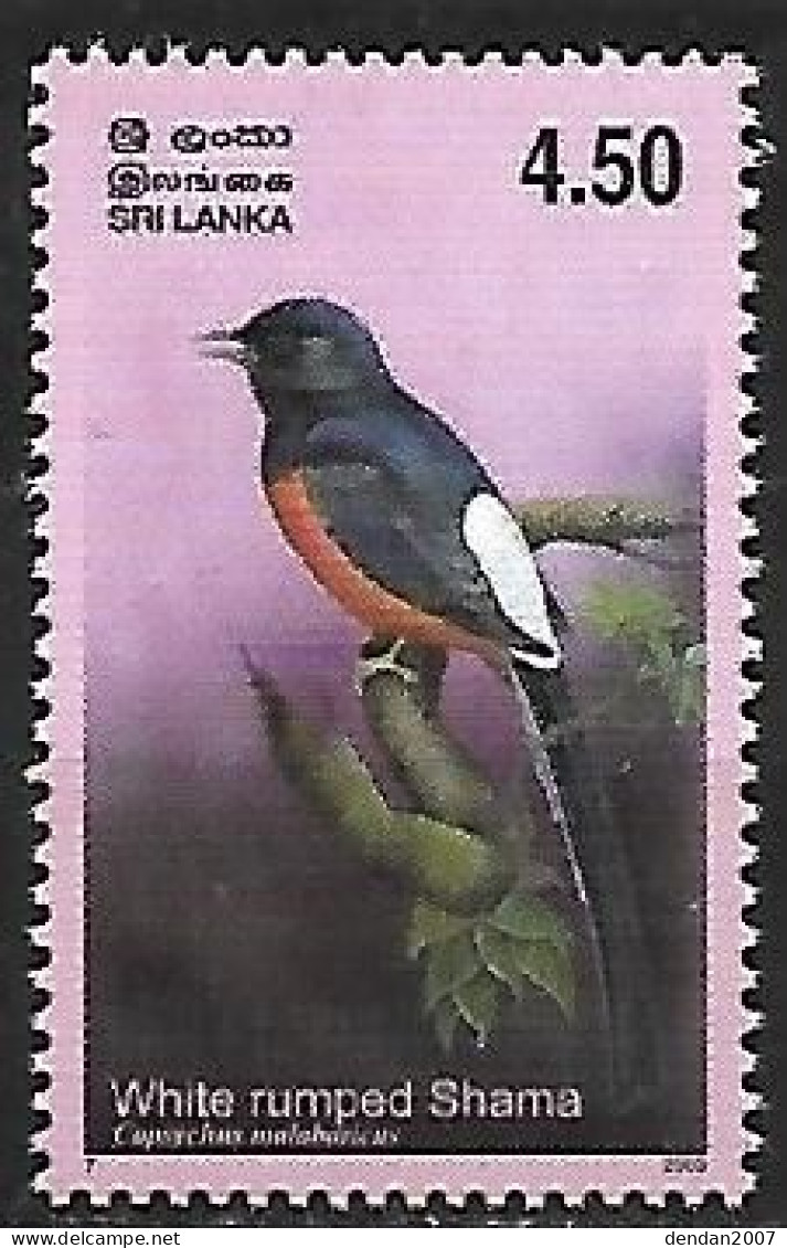 Sri Lanka - MNH ** 2003 : White-rumped Shama  -  Copsychus Malabaricus - Songbirds & Tree Dwellers