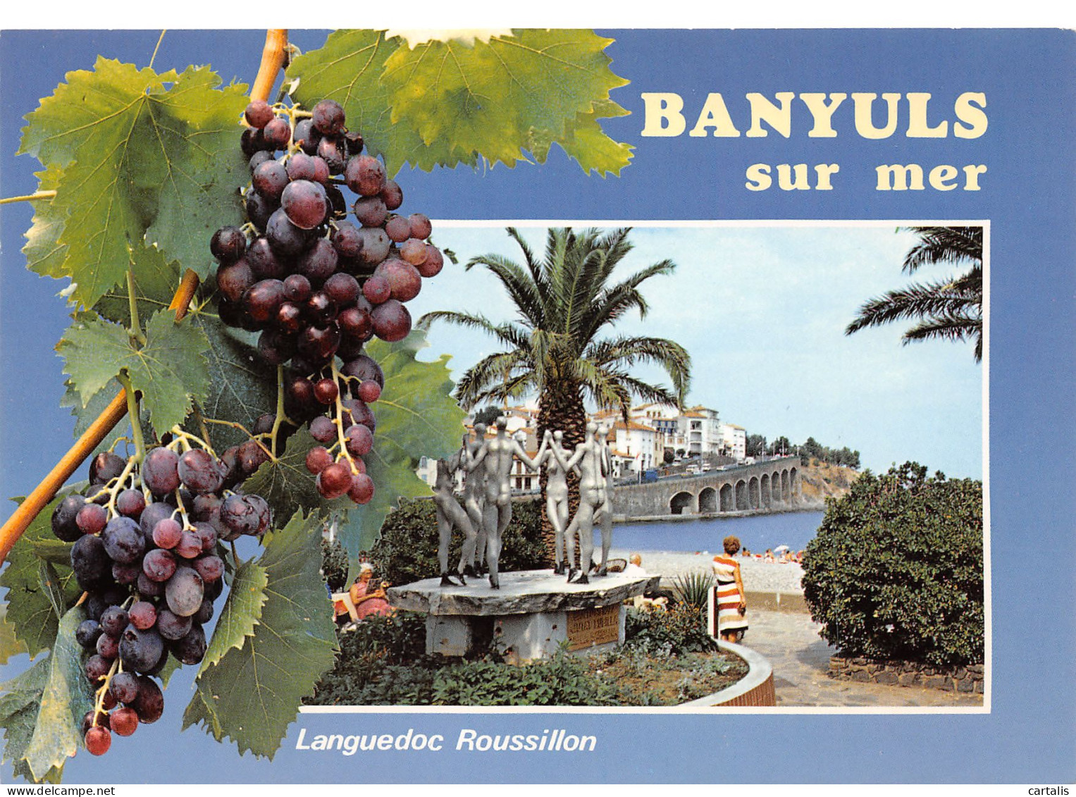 66-BANUYLS SUR MER-N°3704-C/0107 - Banyuls Sur Mer