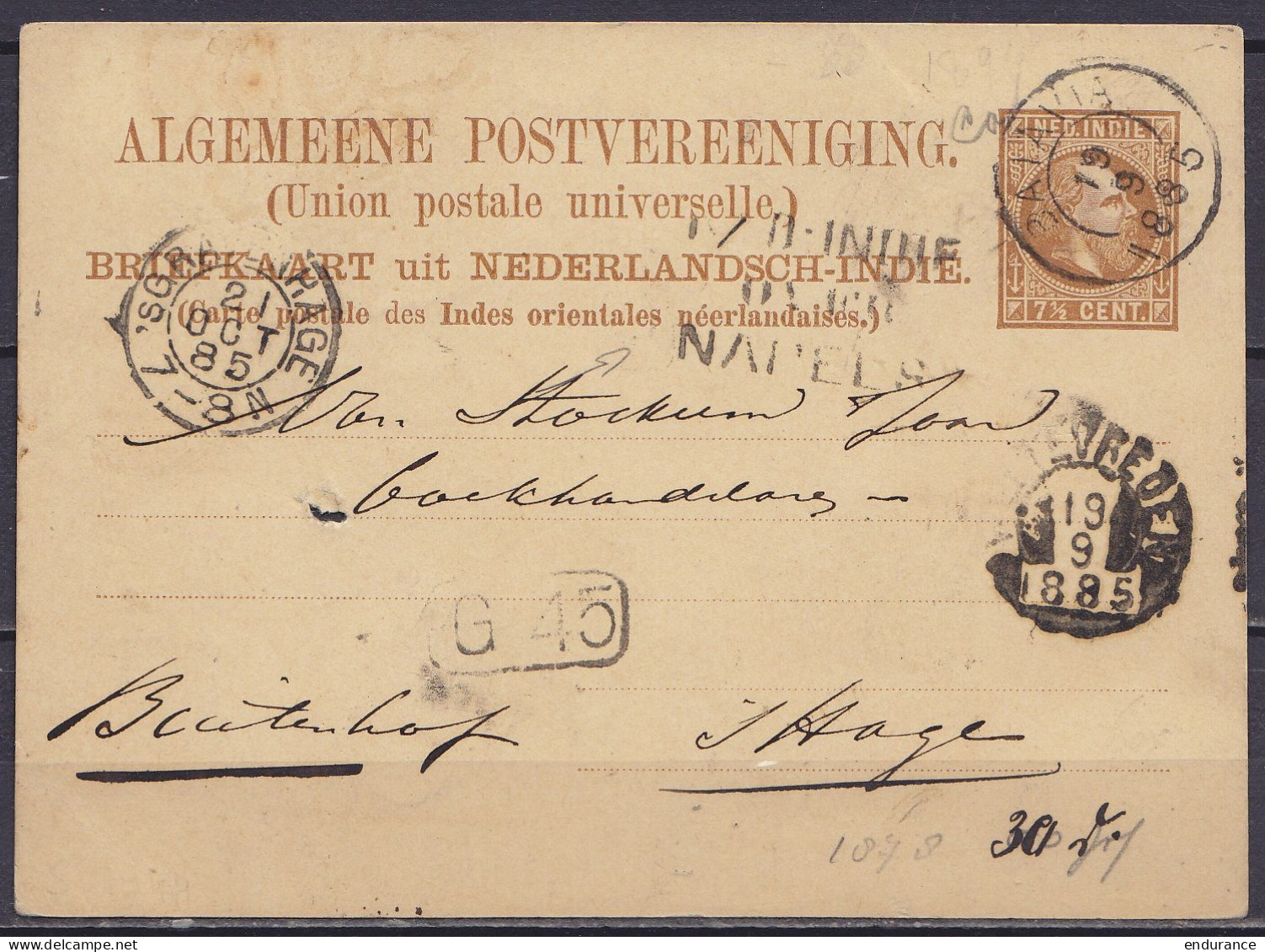 Indes Néerlandaises - EP CP Briefkaart 7½c Càd BATAVIA /19-9-1895 Pour 'sHAGE (La Haye) - Càd Arrivée 'sGRAVENHAGUE - Gr - Indes Néerlandaises