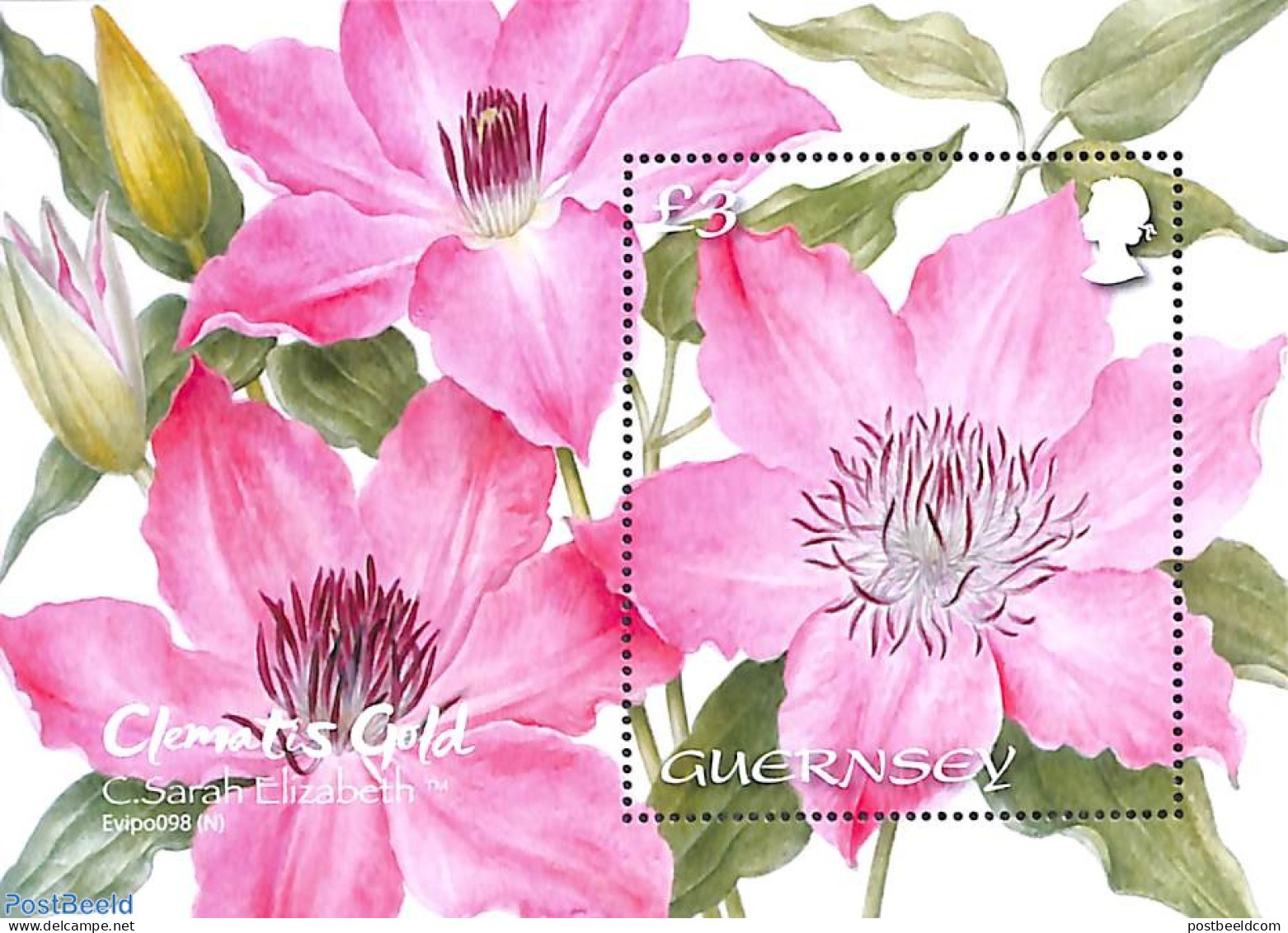 Guernsey 2021 Clematis Sarah Elizabeth S/s, Mint NH, Nature - Flowers & Plants - Guernesey