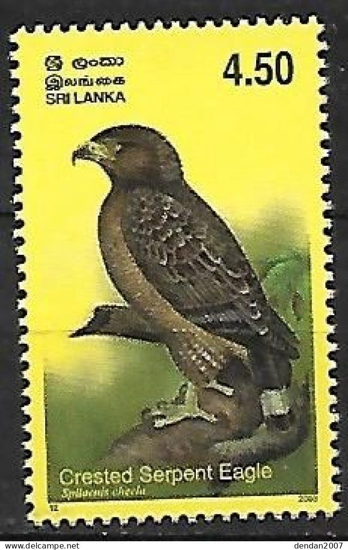 Sri Lanka - MNH ** 2003 :   Crested Serpent Eagle  -  Spilornis Cheela - Adler & Greifvögel